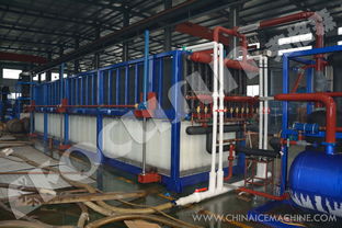 弗格森大型日產(chǎn)250噸鋁板蒸發(fā)式直冷塊冰機(jī) 長期供應(yīng)全球大型制冰工廠